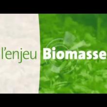 Vignette - L'enjeu biomasse