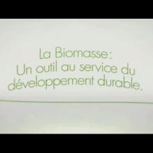 Vignette - La biomasse, un choix durable
