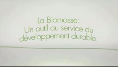 Vignette - La biomasse, un choix durable