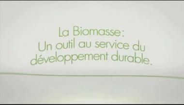 Vignette - La biomasse, un choix durable